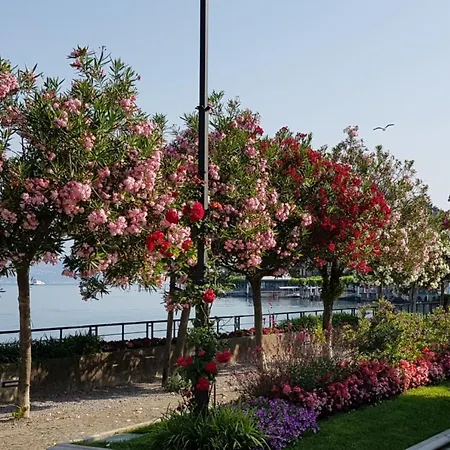 Ein-zimmer-wohnung 'casa Valery' Mit Wasserblick By Interhome * Bellagio