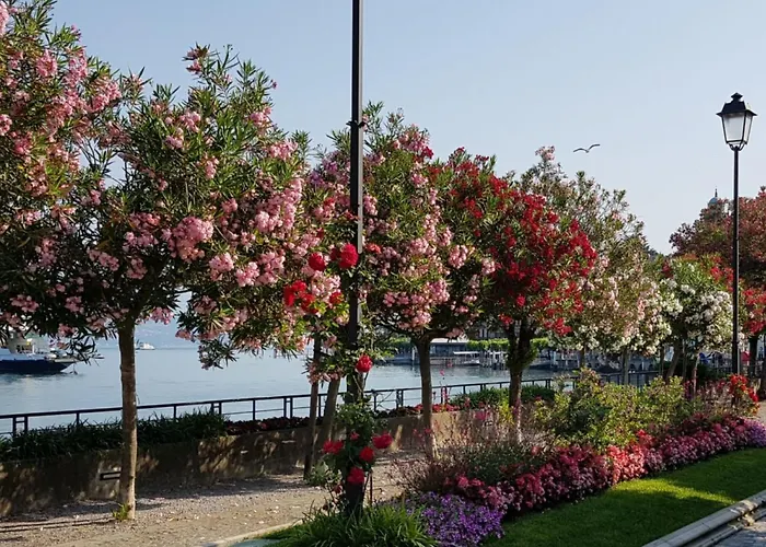 Ein-zimmer-wohnung 'casa Valery' Mit Wasserblick By Interhome * Bellagio